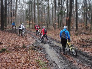 Waldtour 011